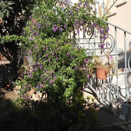 فندق مبيت وإفطار Sos Manneddos 3*