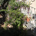 فندق مبيت وإفطار Sos Manneddos 3*