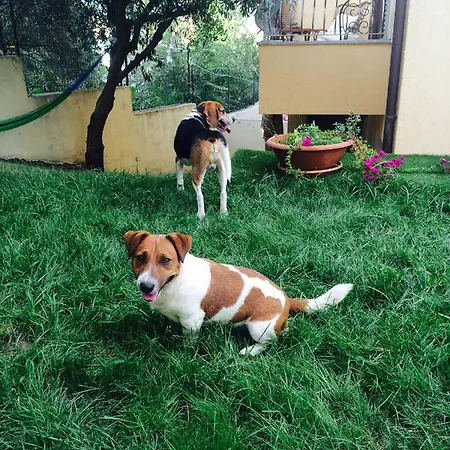 Sos Manneddos Bed & Breakfast
