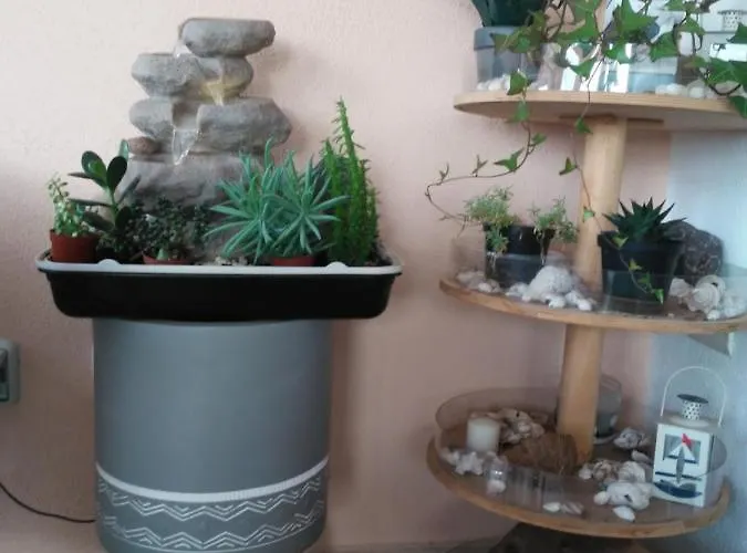 Nocleg ze śniadaniem Sos Manneddos