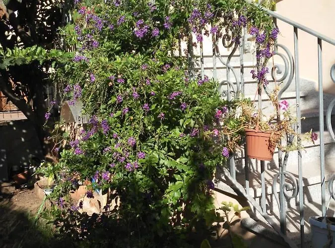 Nocleg ze śniadaniem Sos Manneddos 3*